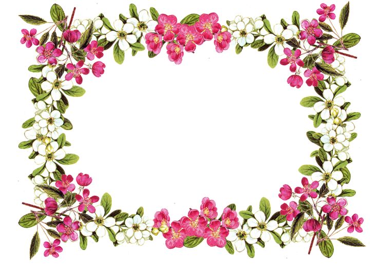 Flower Border Clipart - Images, Illustrations, Photos