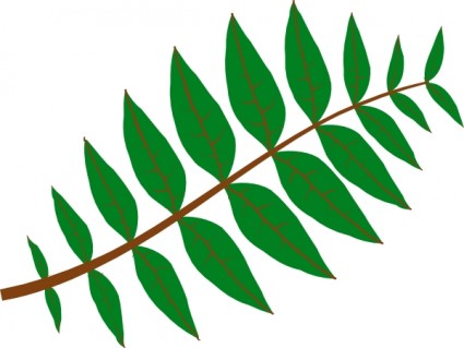 Tropical Leaves Clipart