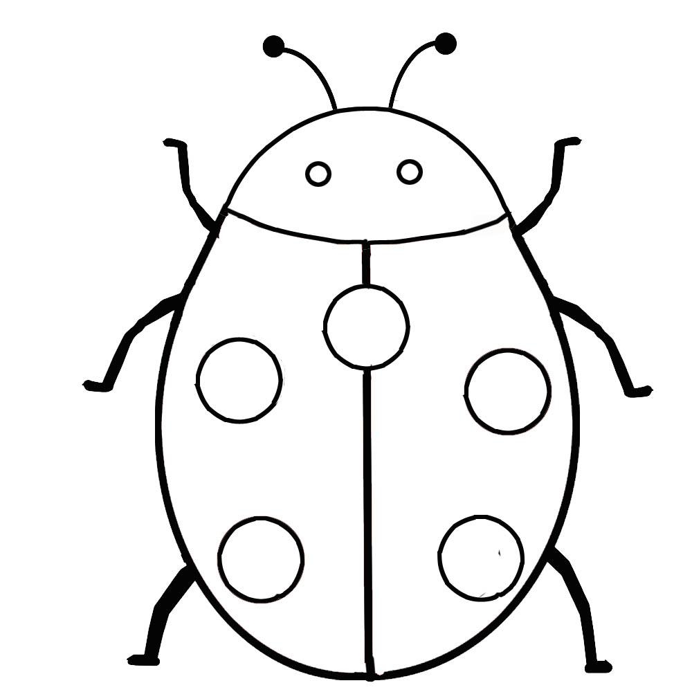 1000+ images about bugs | Coloring pages, Tissue ...