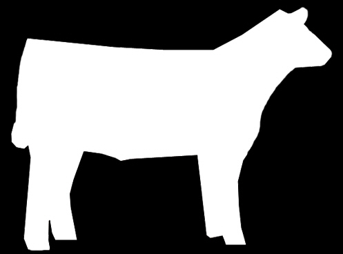 Steer clipart