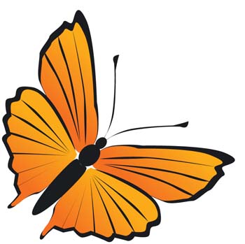Butterfly floral 01 vector Free Vector / 4Vector