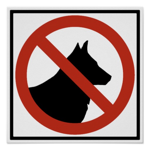 No Cats Allowed Sign