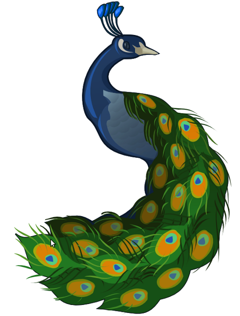 Peacock Clipart | Free Download Clip Art | Free Clip Art | on ...