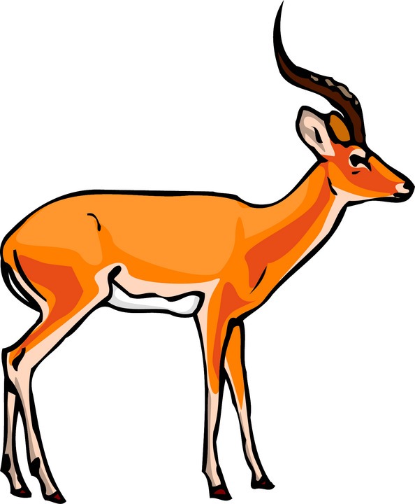 Addax Clipart | Free Download Clip Art | Free Clip Art | on ...