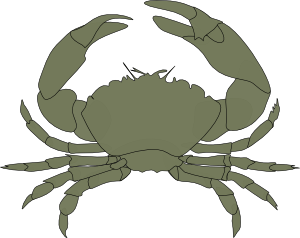 Crab Stencil - ClipArt Best