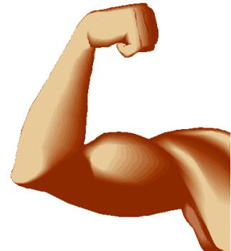 Muscle arms clip art