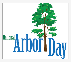 Celebrate Arbor Day with free trees in August | TheNews ...