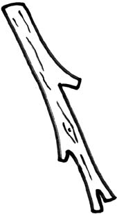 Stick From Tree Clipart