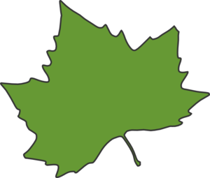 Green maple leaf clipart - ClipartFox