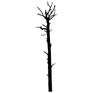 Dead-tree Cartoon Clipart