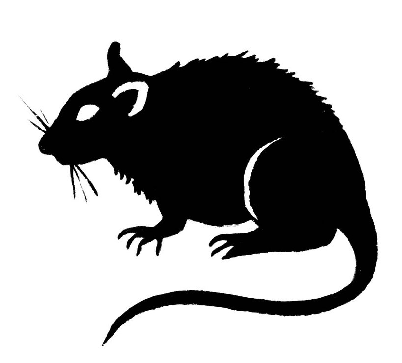 Clip Art Rats Clipart - Free to use Clip Art Resource