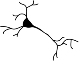 Neuron Art   Livelightbeing Clipart - Free to use Clip Art Resource