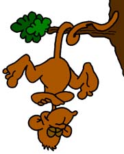 Spider Monkey Clip Art - Free Clipart Images