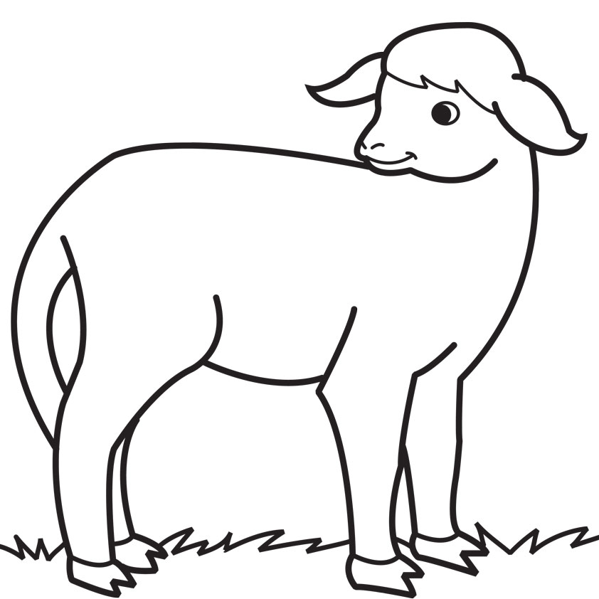 Lamb Line Drawing - ClipArt Best