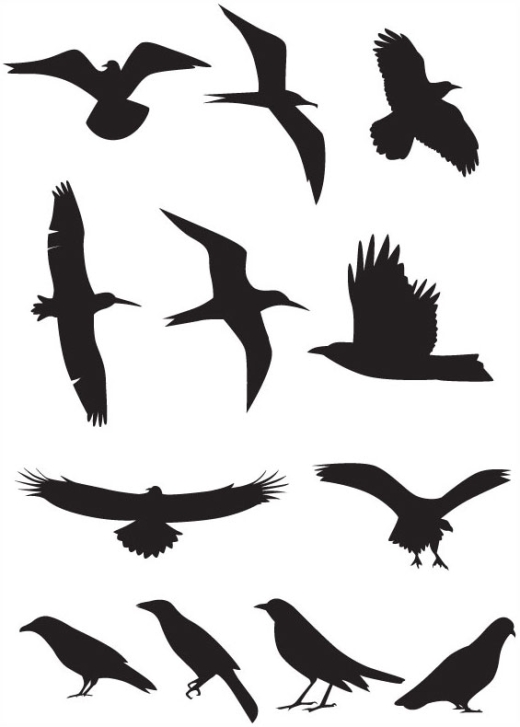 Bird Vector | Free Download Clip Art | Free Clip Art | on Clipart ...