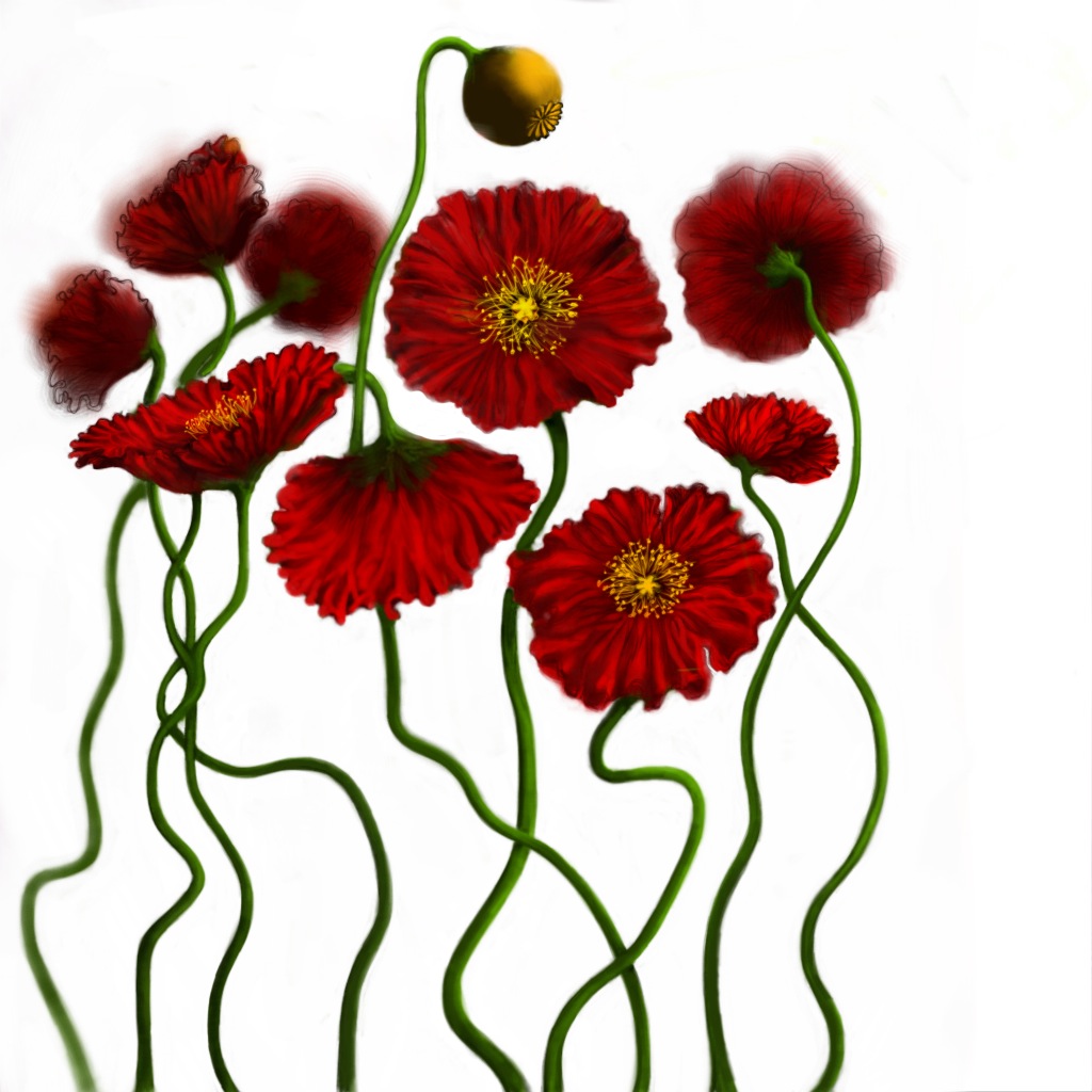 Drawings Of Poppies - ClipArt Best