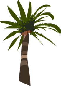 palm-tree-vector-md.png