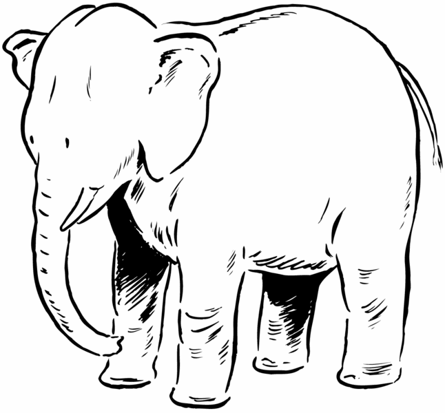 14 Elephant Coloring Pages for Kids >> Disney Coloring Pages