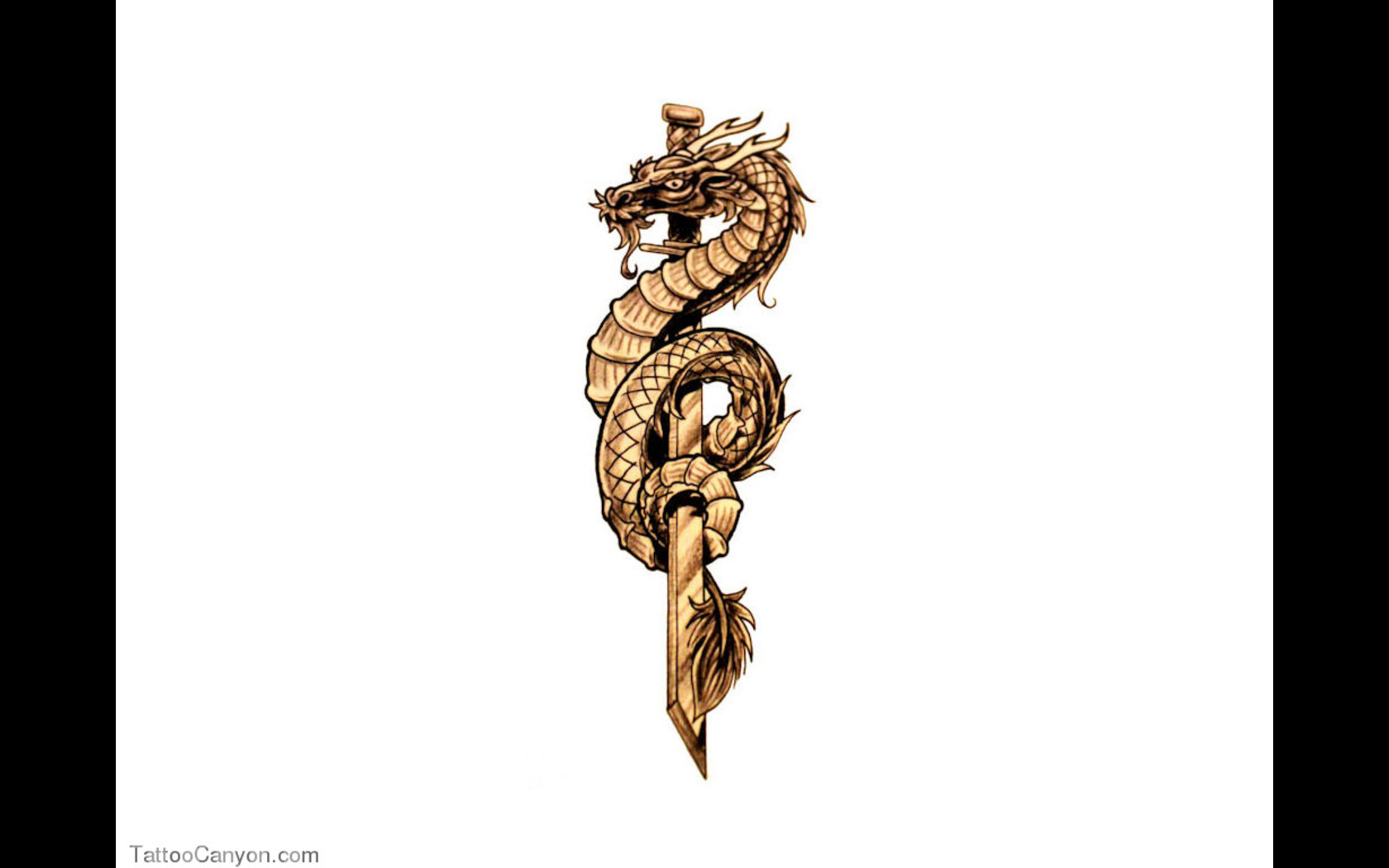 Free Designs Dragon Around The Sword Tattoo Wallpaper Picture #