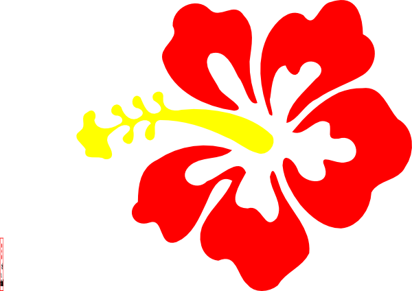 Hawaiian Flower Graphics Code Comments