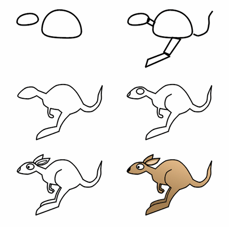How To Draw A Cartoon Kangaroo Step 3