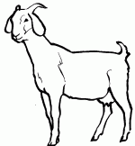 Cartoon Goat Wallpaper - ClipArt Best