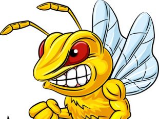 Bee Illustration Free Vector | free vectors | UI Download