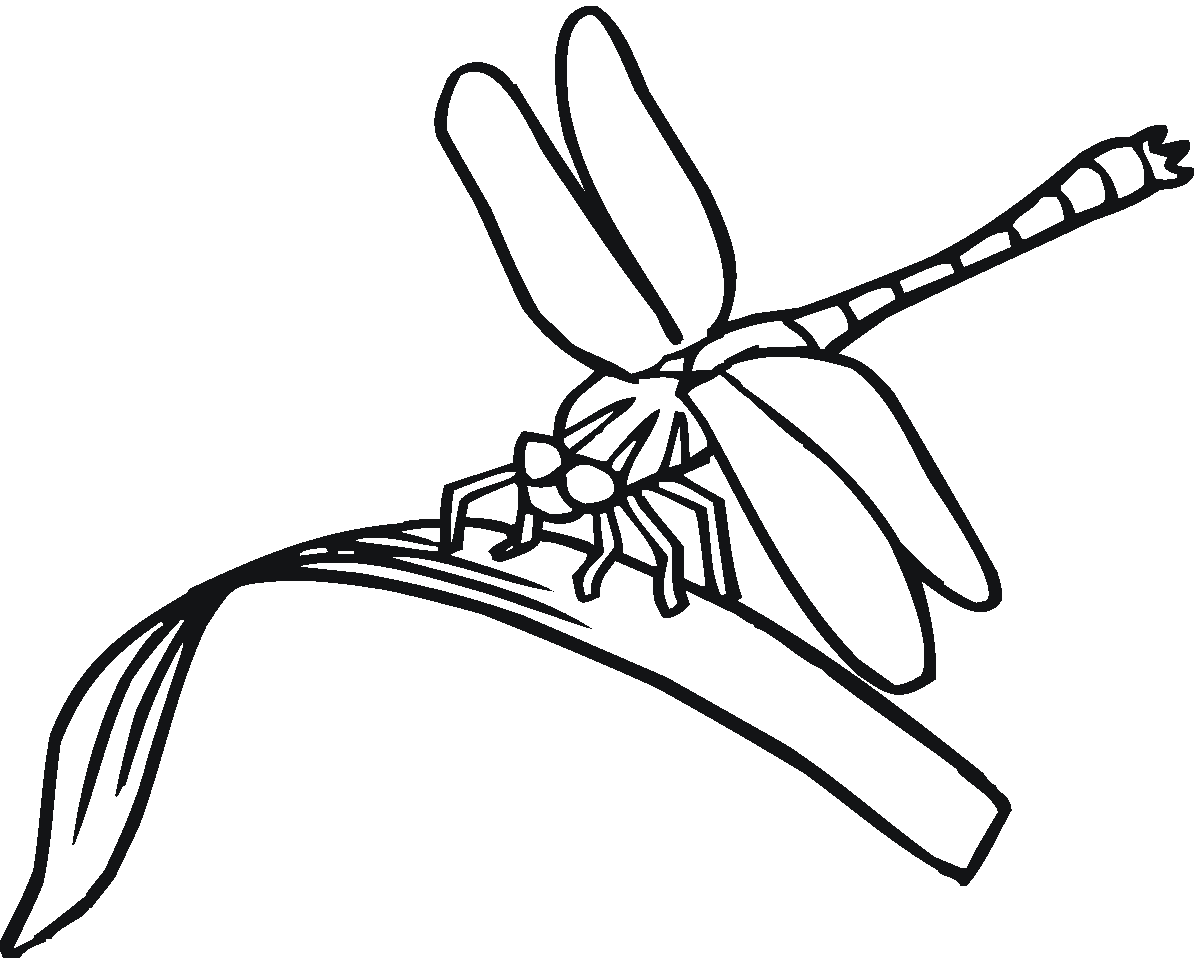 Dragonfly Printables Clipart