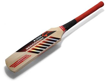 Cricket Bat | Cricket Bats Types| Different Brands Of Bats