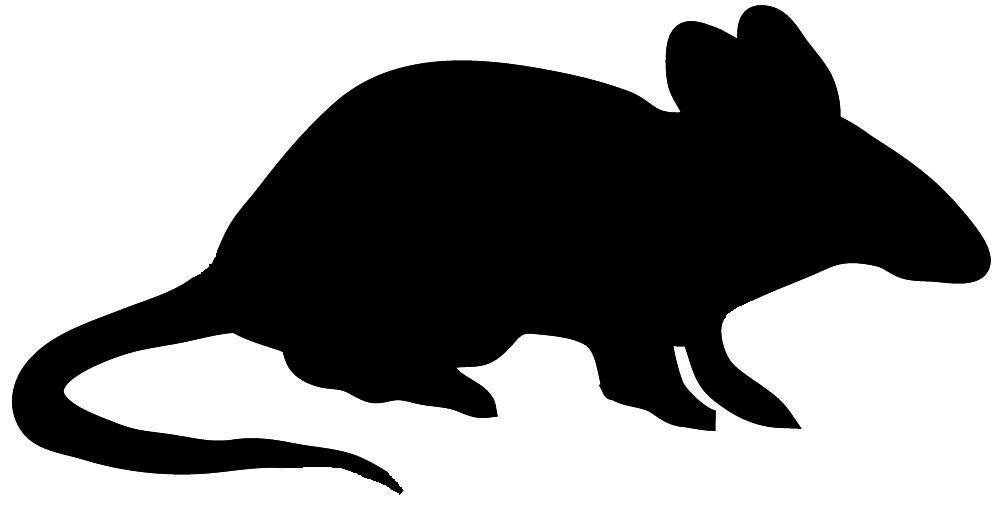 Mouse silhouette clip art