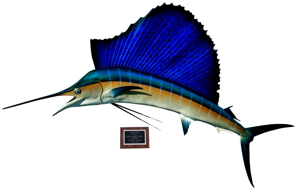 Atlantic Sailfish Mounts by King Sailfish Mounts