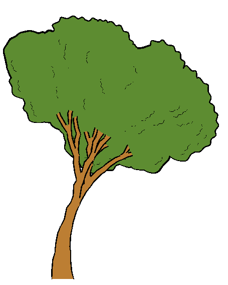 Oak Tree Cartoon - ClipArt Best