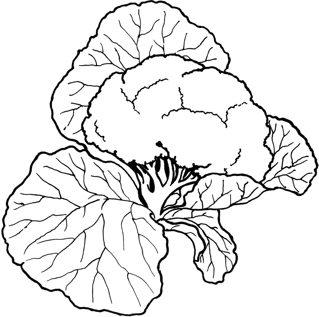 Vegetables Coloring Pictures - Free Clipart Images