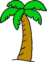 1000+ images about palm trees | Cartoon, Vector ...