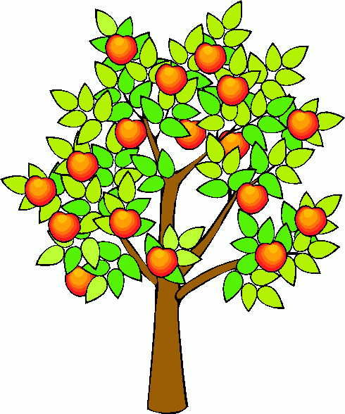 Sykamore tree clipart