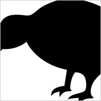 Kiwi bird vector Free vector for free download (about 3 files).