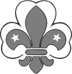 File:WikiProject Scouting fleur-de-lis greyscale.jpg - Wikimedia ...