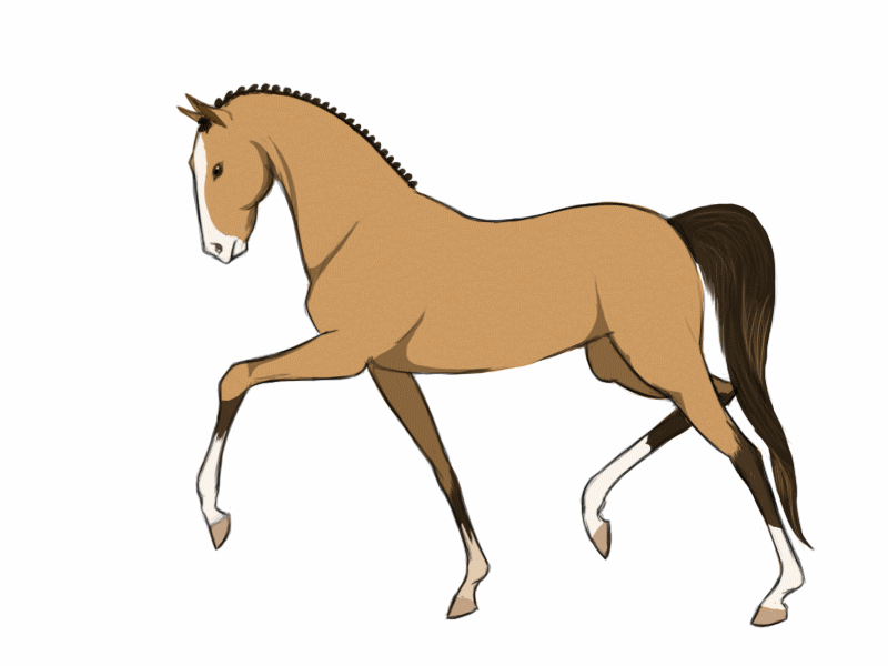 Animated Horse Pictures - animals-pics.com - ClipArt Best - ClipArt Best