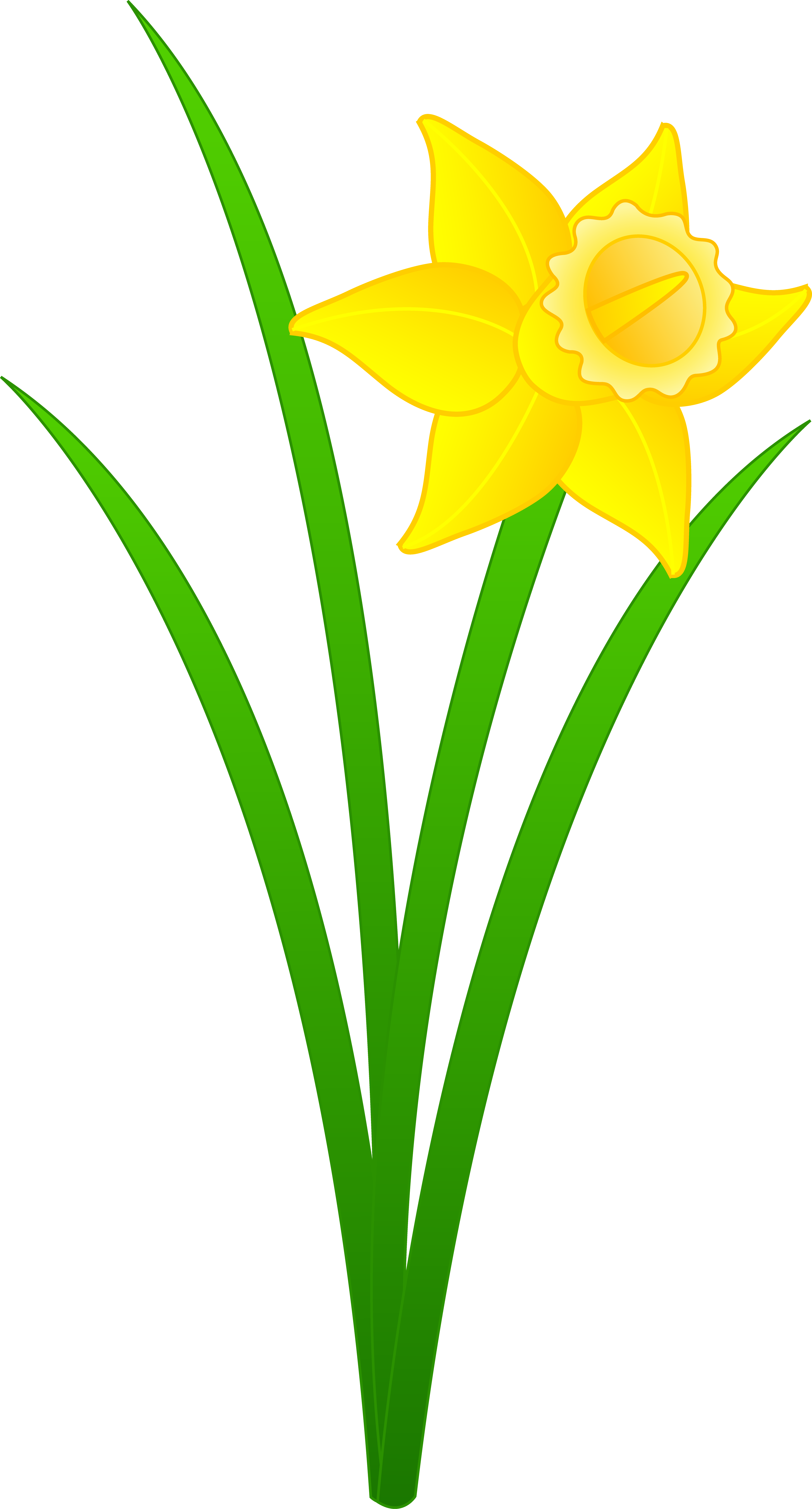 Daffodils Clipart