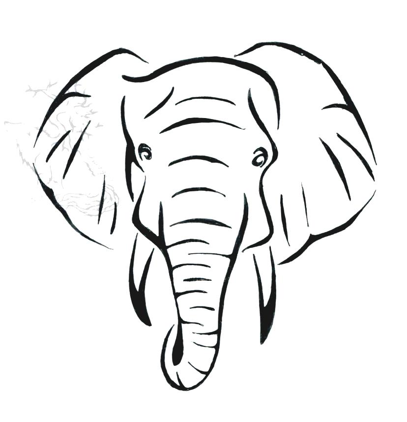 Black And White Elephant Head Drawing Best Photos Of Face Template ...