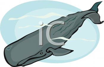 Animal Clip Art Picture of a Blue Whale - AnimalClipart.net