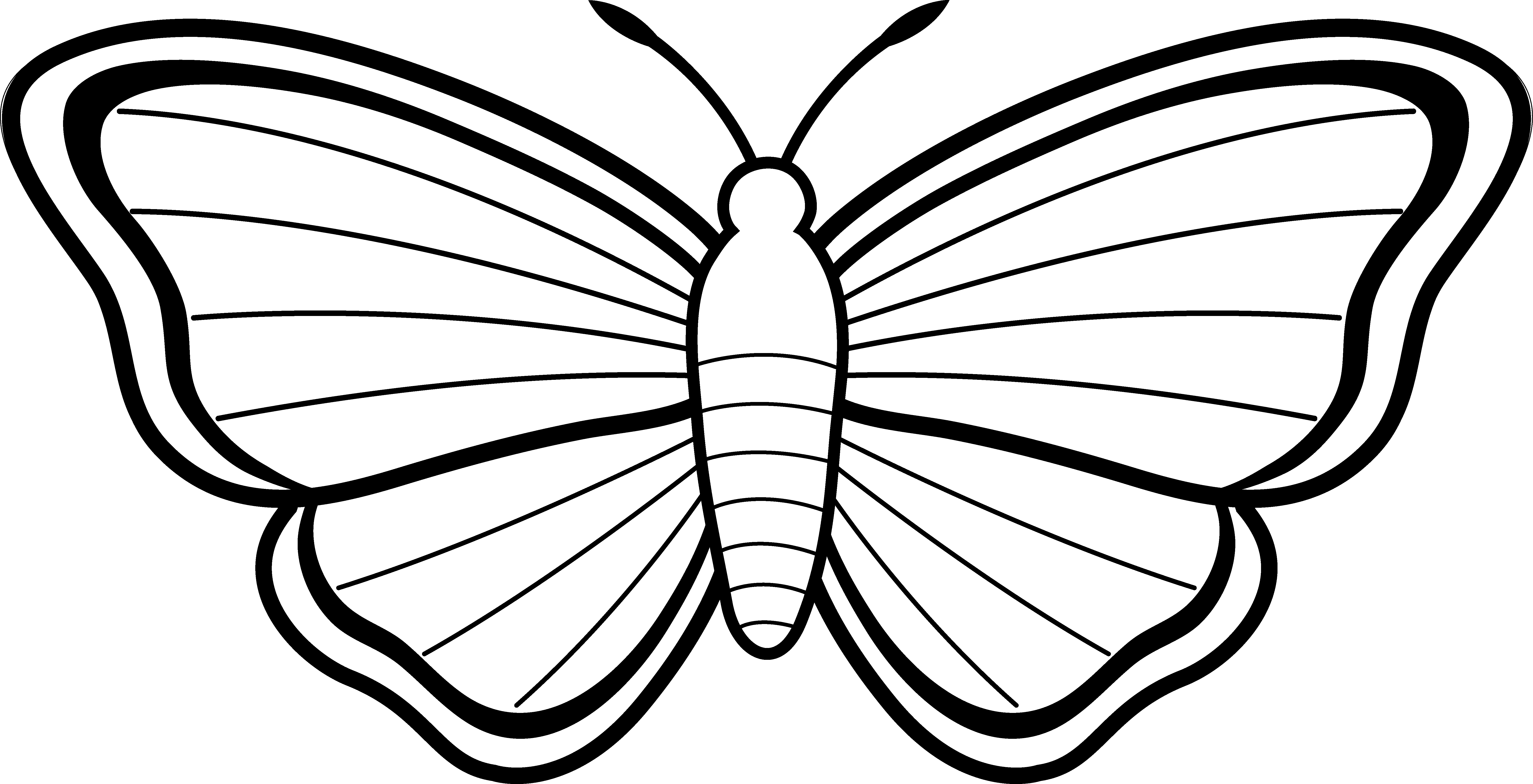 Clipart butterfly outline free