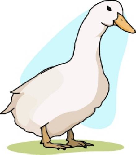 Duck Images Free | Free Download Clip Art | Free Clip Art | on ...