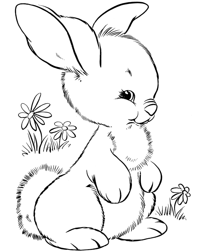 Images of Easter Bunny Outline - Jefney