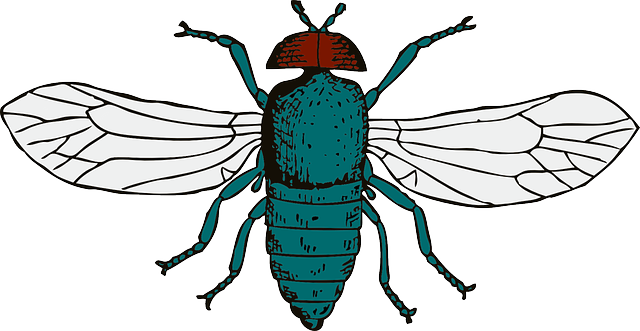 Cartoon Fly | Free Download Clip Art | Free Clip Art | on Clipart ...