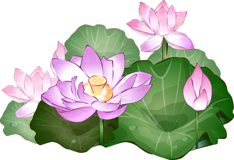 Lotus Art - ClipArt Best