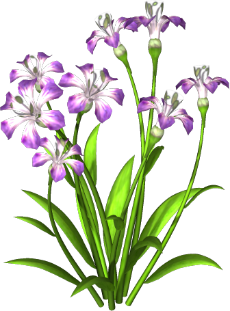 Purple Flower Frame Png Res Purple Flowers Png by #6211 - Free ...