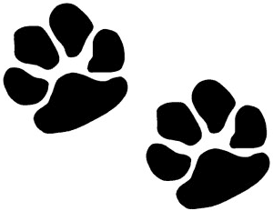 Cat Paw Vector - ClipArt Best