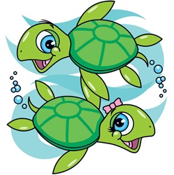 Cartoon Sea Turtle