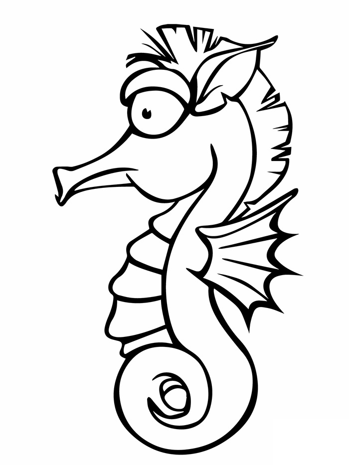 seahorse-outline-printable-clipart-best
